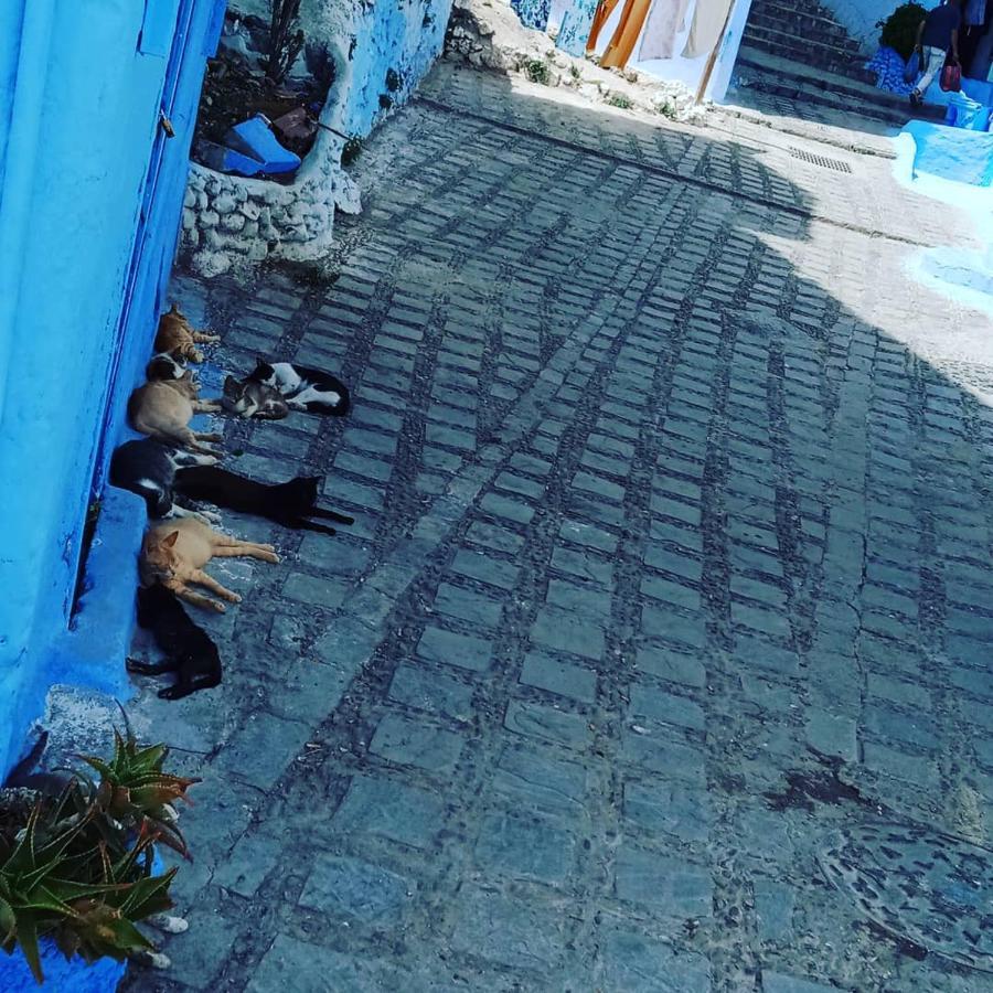 Casa Mablu Apartment Chefchaouen Exterior photo